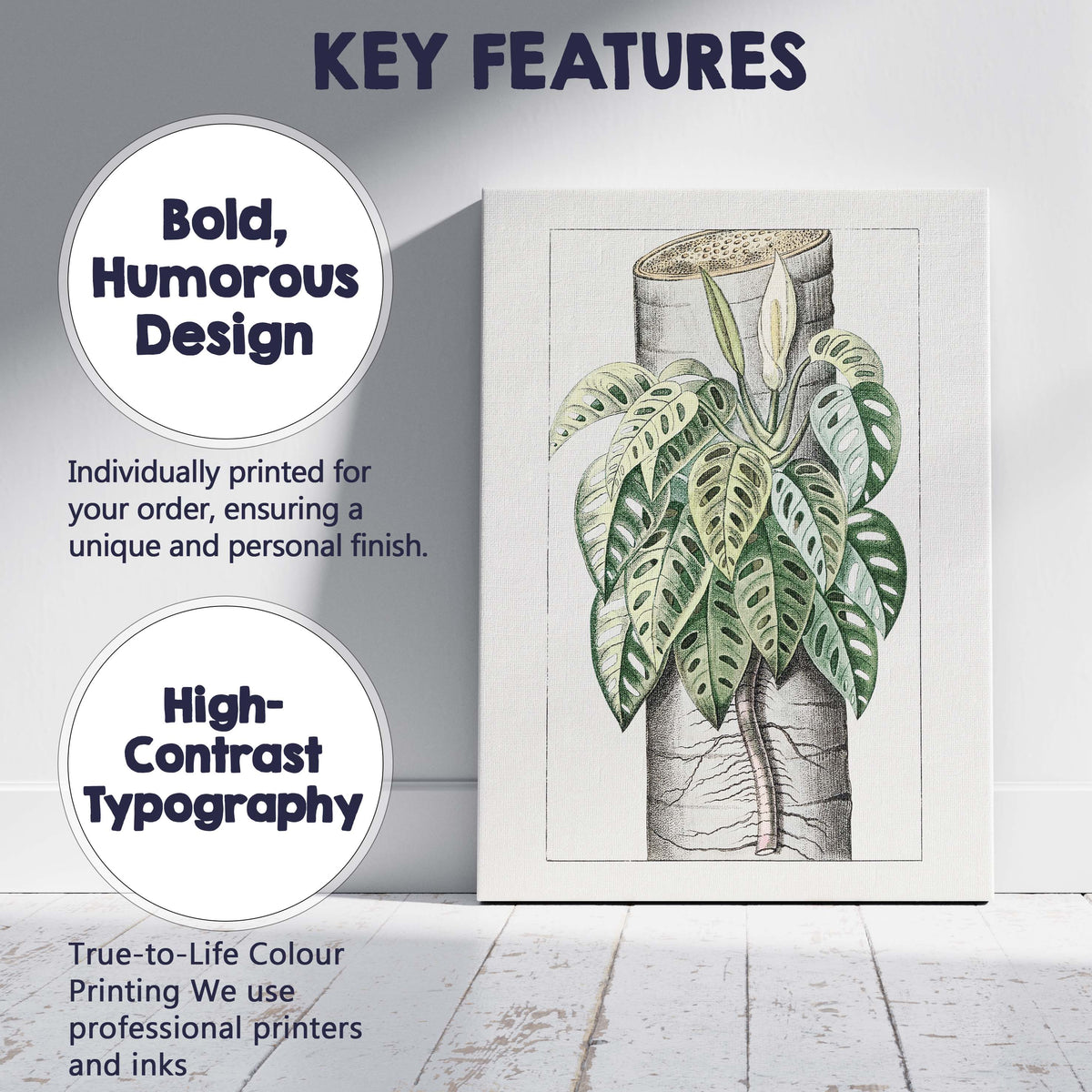 Tropical Monstera Adansonii Swiss Cheese Plant Botanical Illustration Canvas Wall Art Print Decor Picture Ready to Hang