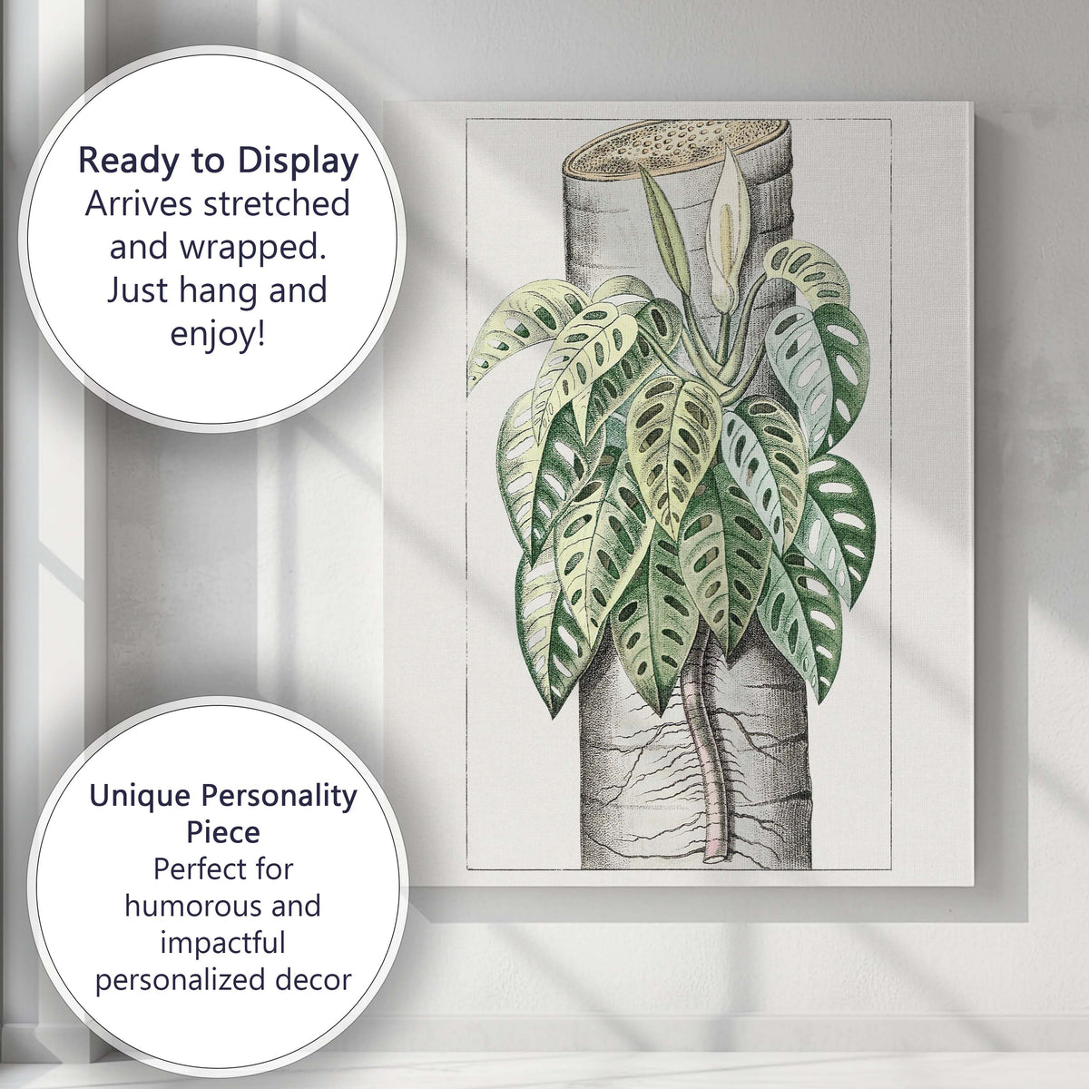 Tropical Monstera Adansonii Swiss Cheese Plant Botanical Illustration Canvas Wall Art Print Decor Picture Ready to Hang