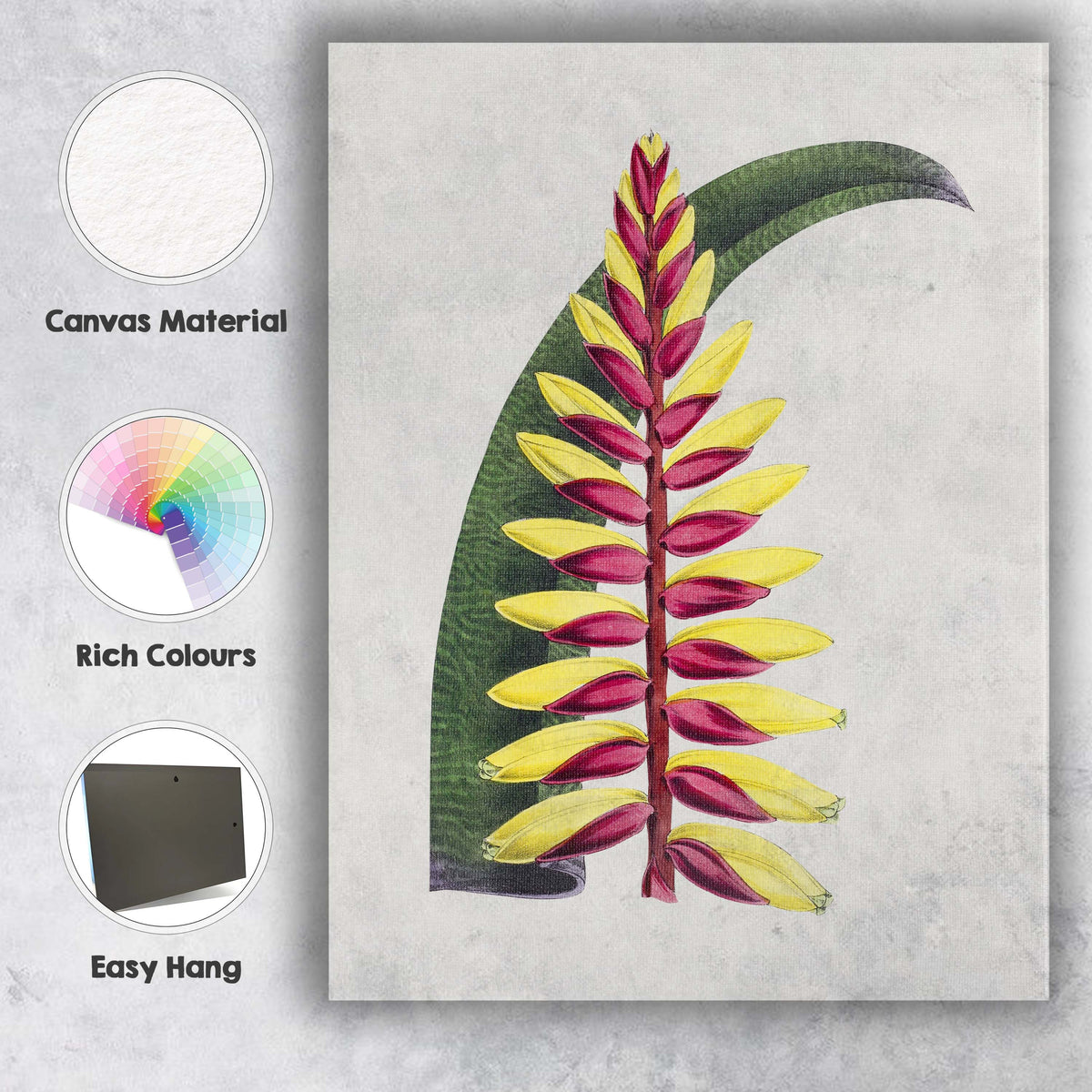 Exotic Red and Yellow Heliconia Tropical Botanical Illustration Canvas Wall Art Print Decor Picture Ready to Hang