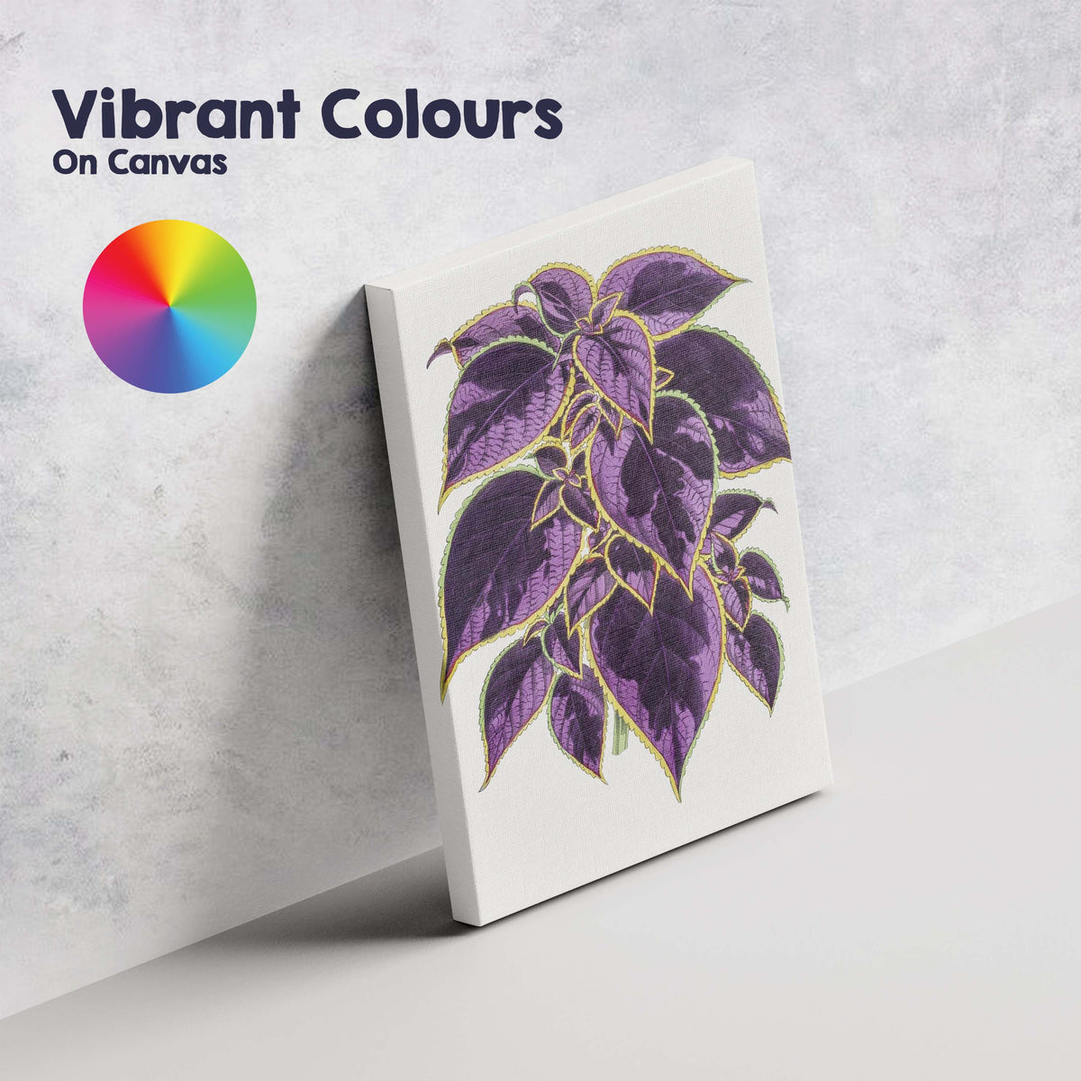 Rich Purple Coleus Foliage Botanical Garden Illustration Canvas Wall Art Print Decor Picture Ready to Hang