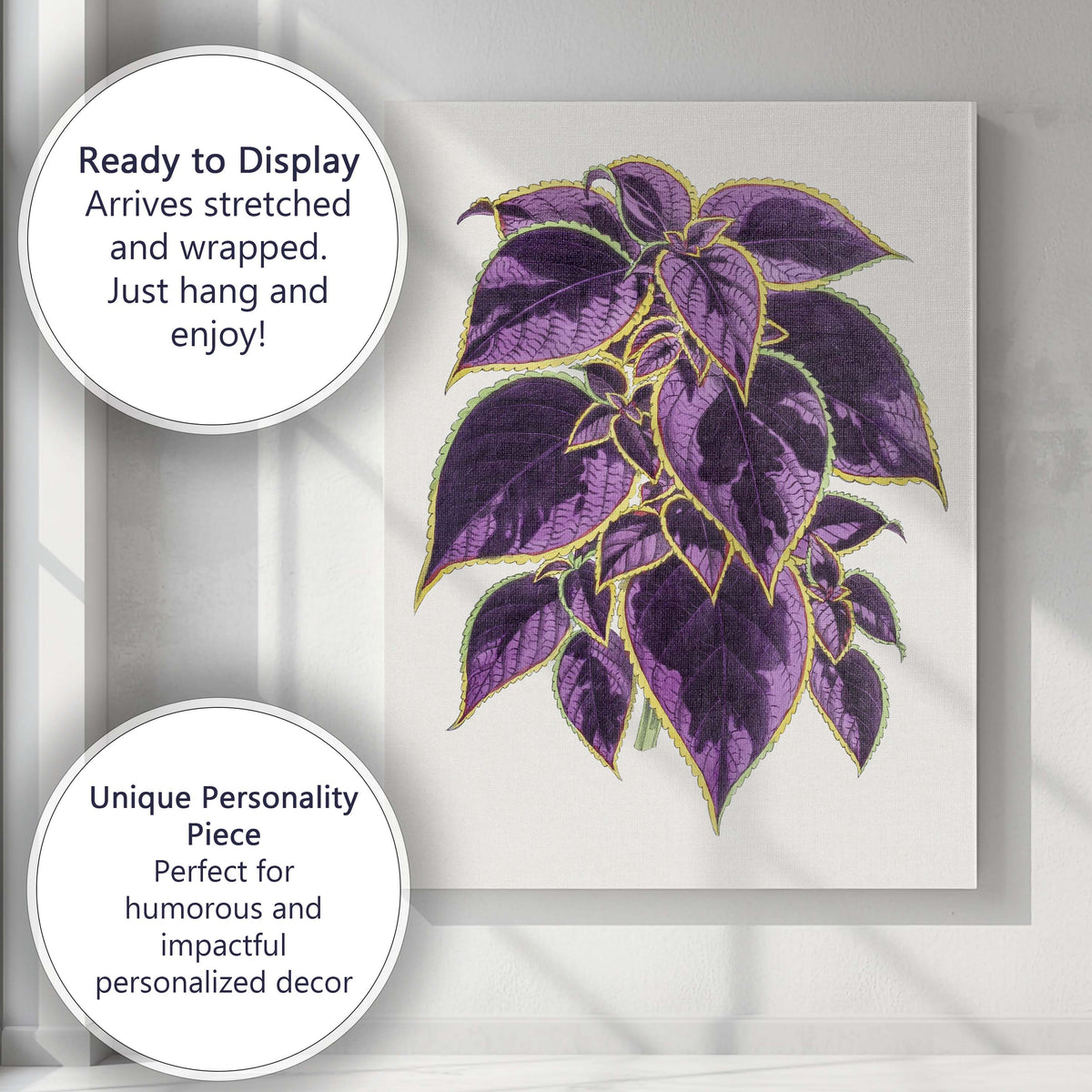 Rich Purple Coleus Foliage Botanical Garden Illustration Canvas Wall Art Print Decor Picture Ready to Hang