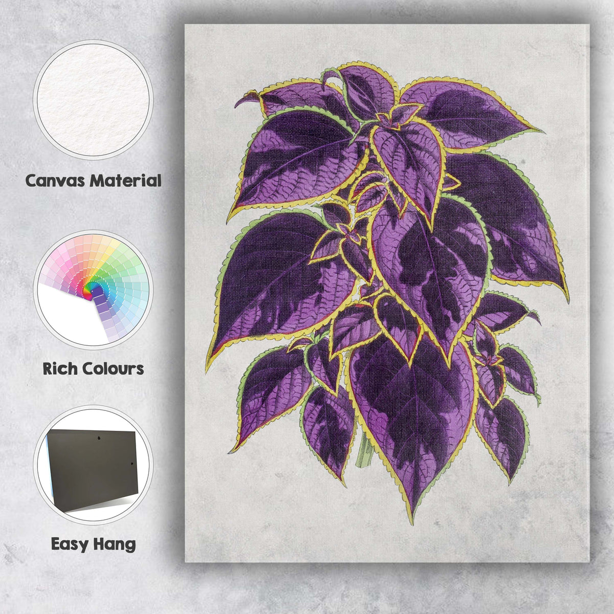 Rich Purple Coleus Foliage Botanical Garden Illustration Canvas Wall Art Print Decor Picture Ready to Hang