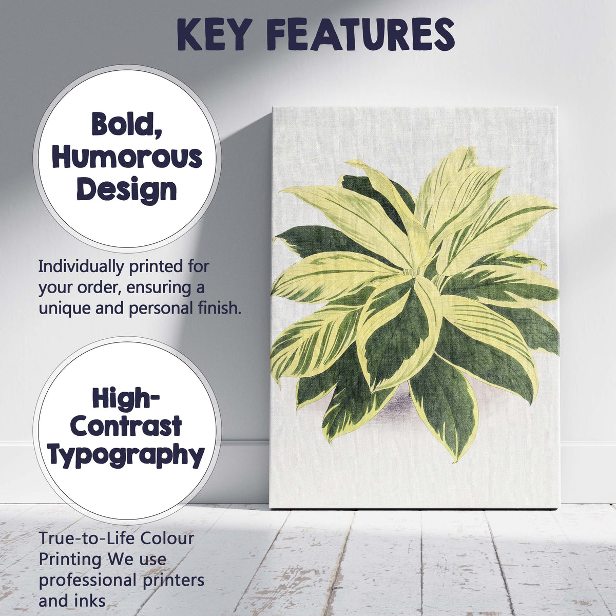 Cream and Green Variegated Hosta Botanical Garden Illustration Canvas Wall Art Print Decor Picture Ready to Hang