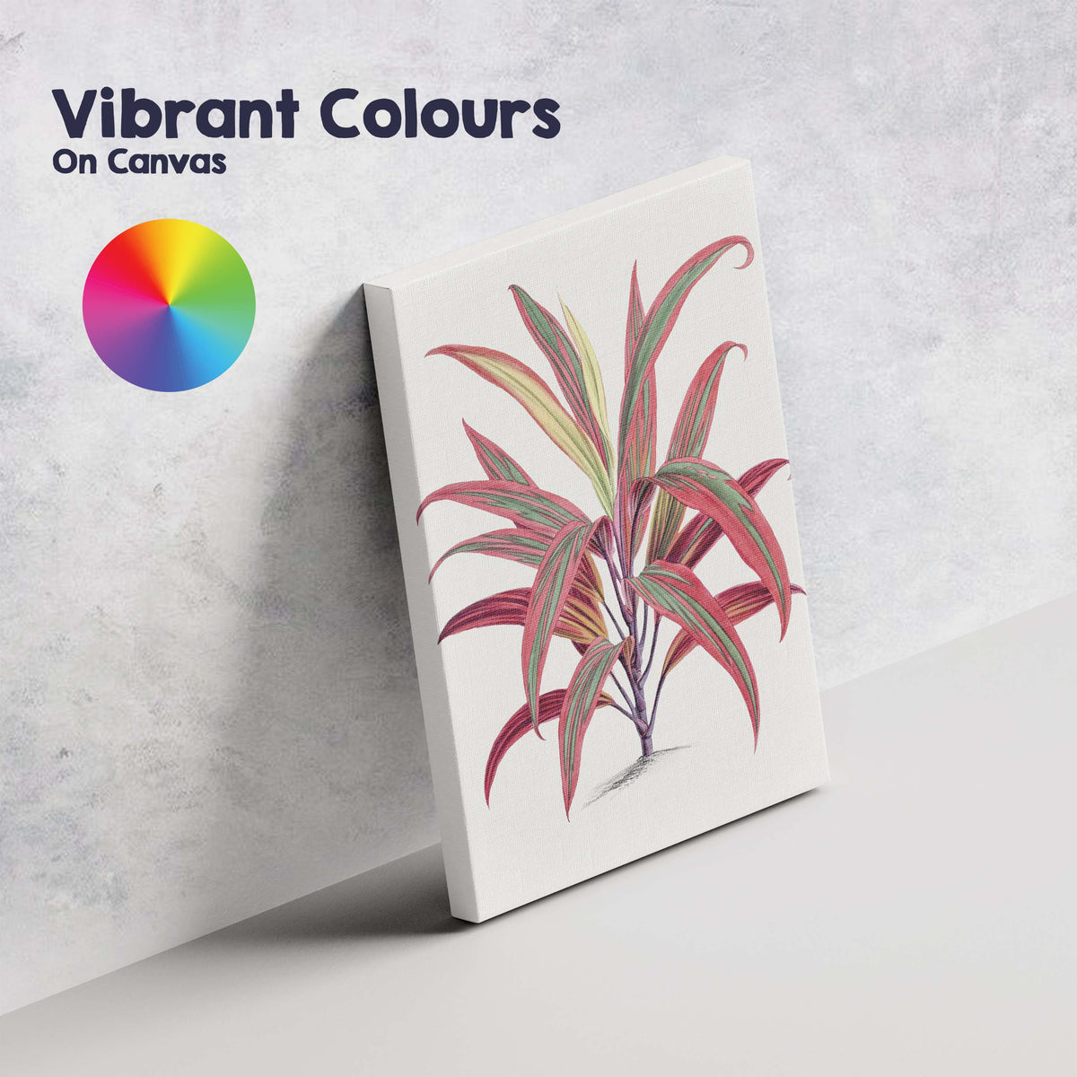 Vibrant Pink And Green Tropical Cordyline Leaves Botanical Illustration Canvas Wall Art Print Decor Picture Ready to Hang