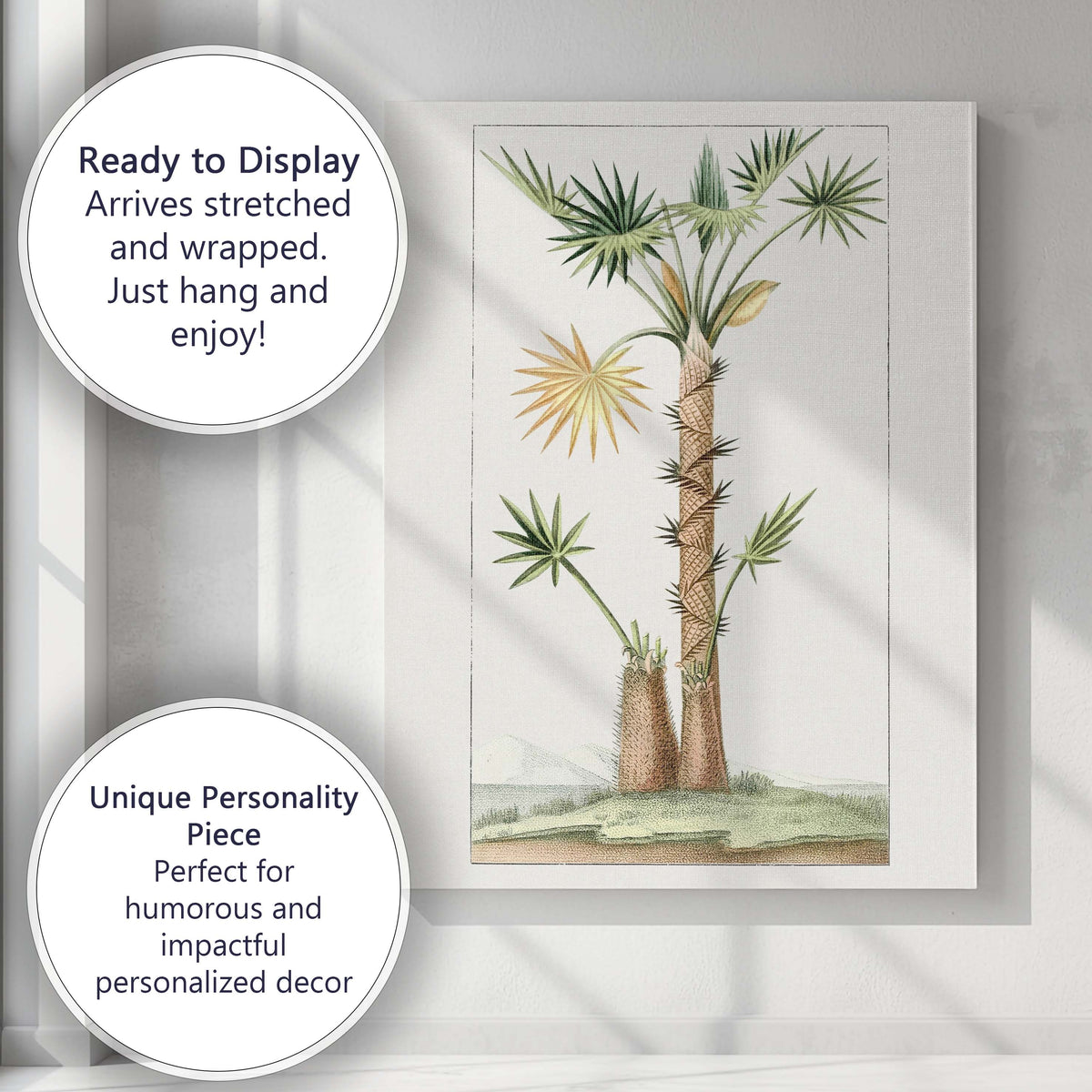 Antique Fan Palm Tree Exotic Tropical Botanical Illustration Canvas Wall Art Print Decor Picture Ready to Hang