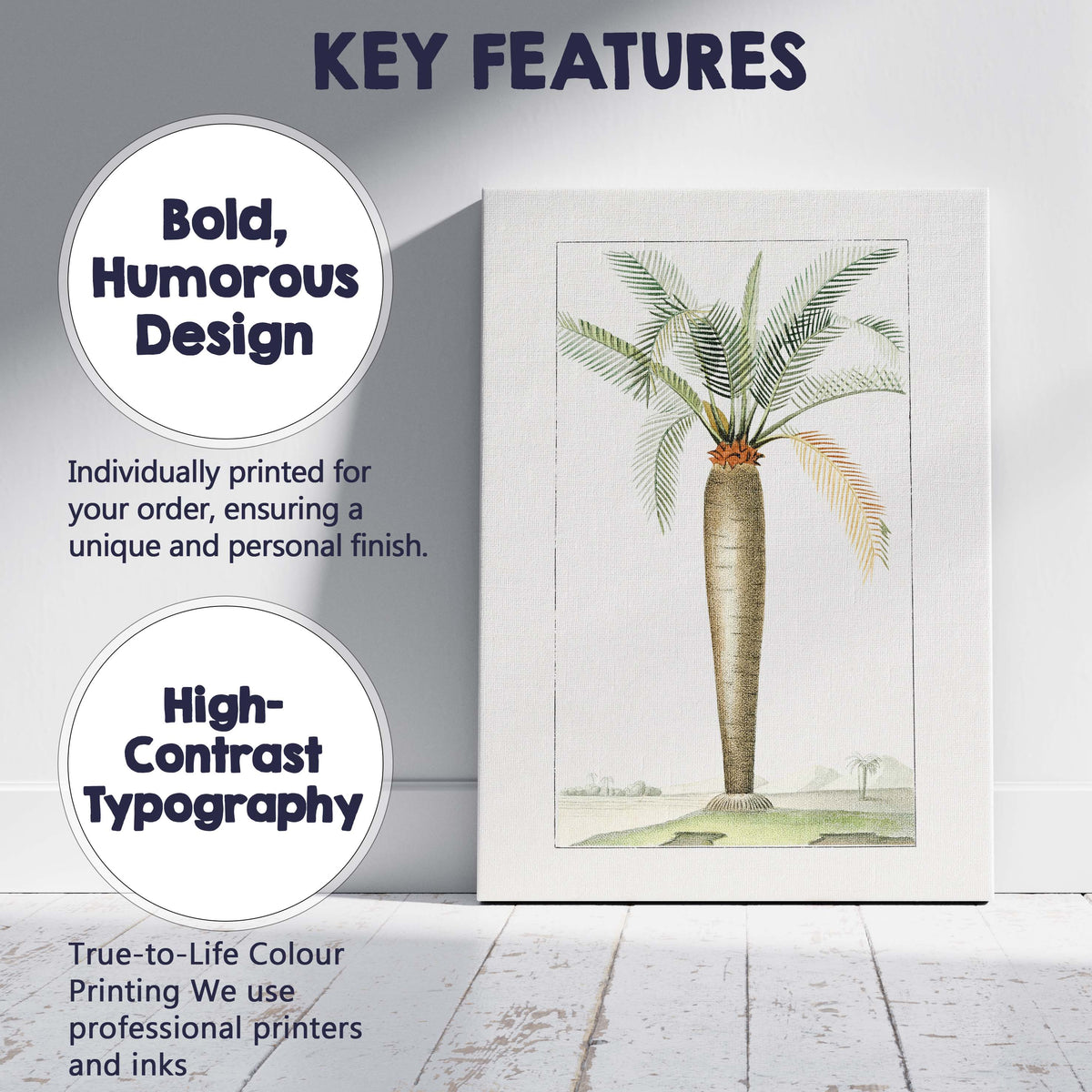 Historic Cycad Palm Botanical Engraving Tropical Plant Illustration Canvas Wall Art Print Decor Picture Ready to Hang