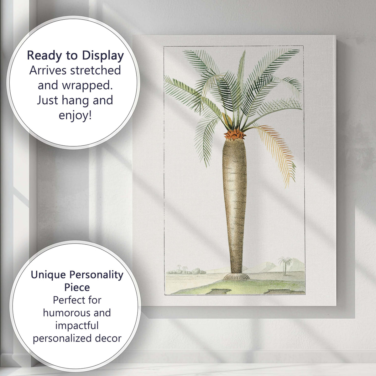 Historic Cycad Palm Botanical Engraving Tropical Plant Illustration Canvas Wall Art Print Decor Picture Ready to Hang
