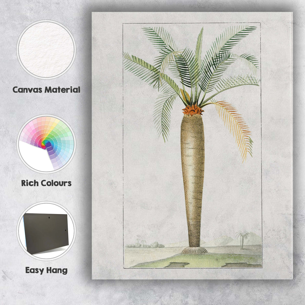 Historic Cycad Palm Botanical Engraving Tropical Plant Illustration Canvas Wall Art Print Decor Picture Ready to Hang