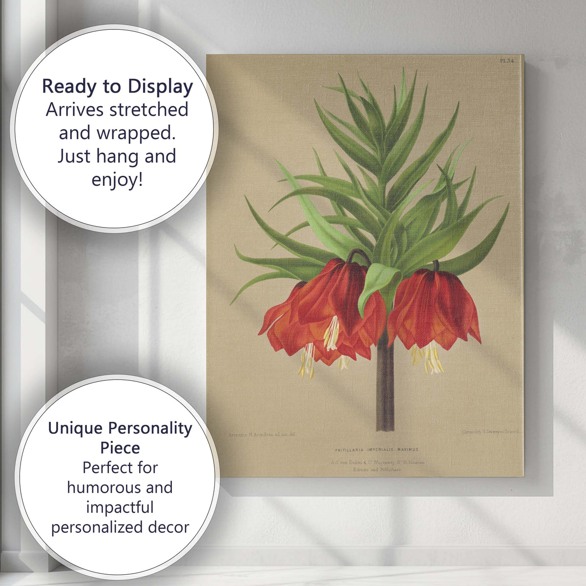 Rich Red Crown Imperial Fritillaria Botanical Flower Illustration Canvas Wall Art Print Decor Picture Ready to Hang