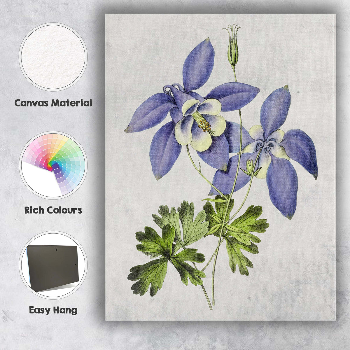 Delicate Blue Columbine Aquilegia Wildflower Botanical Illustration Canvas Wall Art Print Decor Picture Ready to Hang