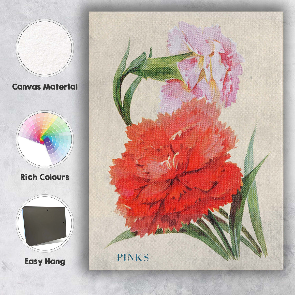 Vibrant Red and Pink Dianthus Pinks Floral Illustration Canvas Wall Art Print Decor Picture Ready to Hang