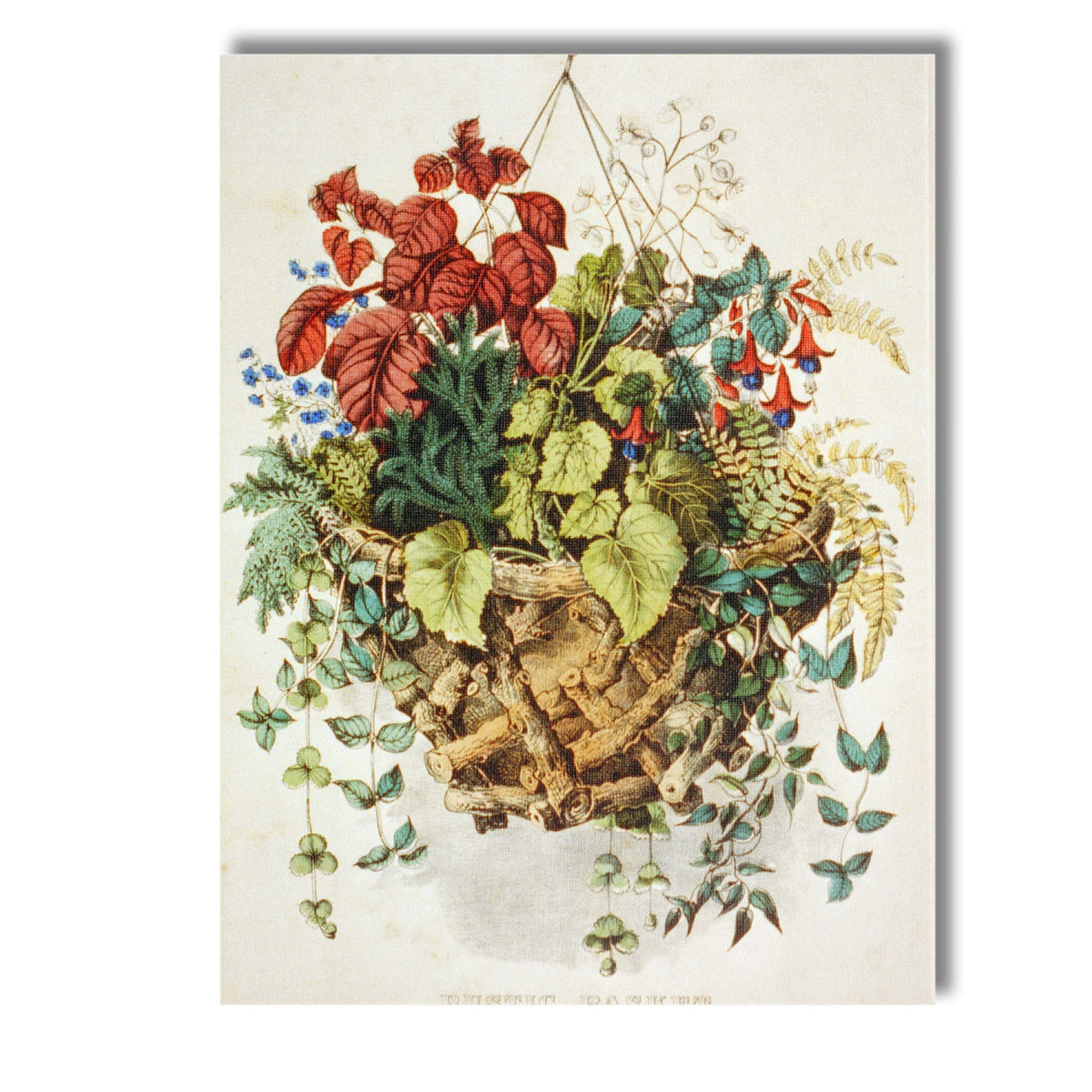 Rustic Hanging Basket Foliage Fern Botanical Garden Illustration Canvas Wall Art Print Decor Picture Ready to Hang