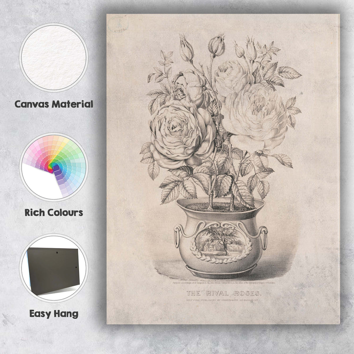 Victorian Rival Roses Potted Botanical Engraving Canvas Wall Art Print Decor Picture Ready to Hang