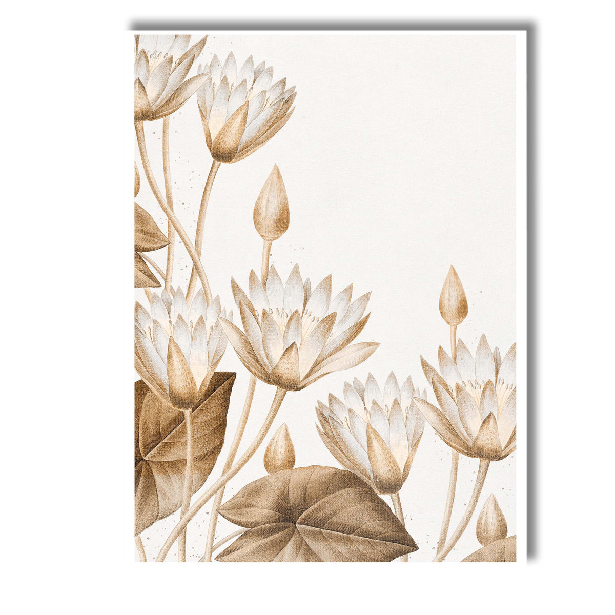 Neutral Beige Water Lily Botanical Floral Illustration Canvas Wall Art Print Decor Picture Ready to Hang