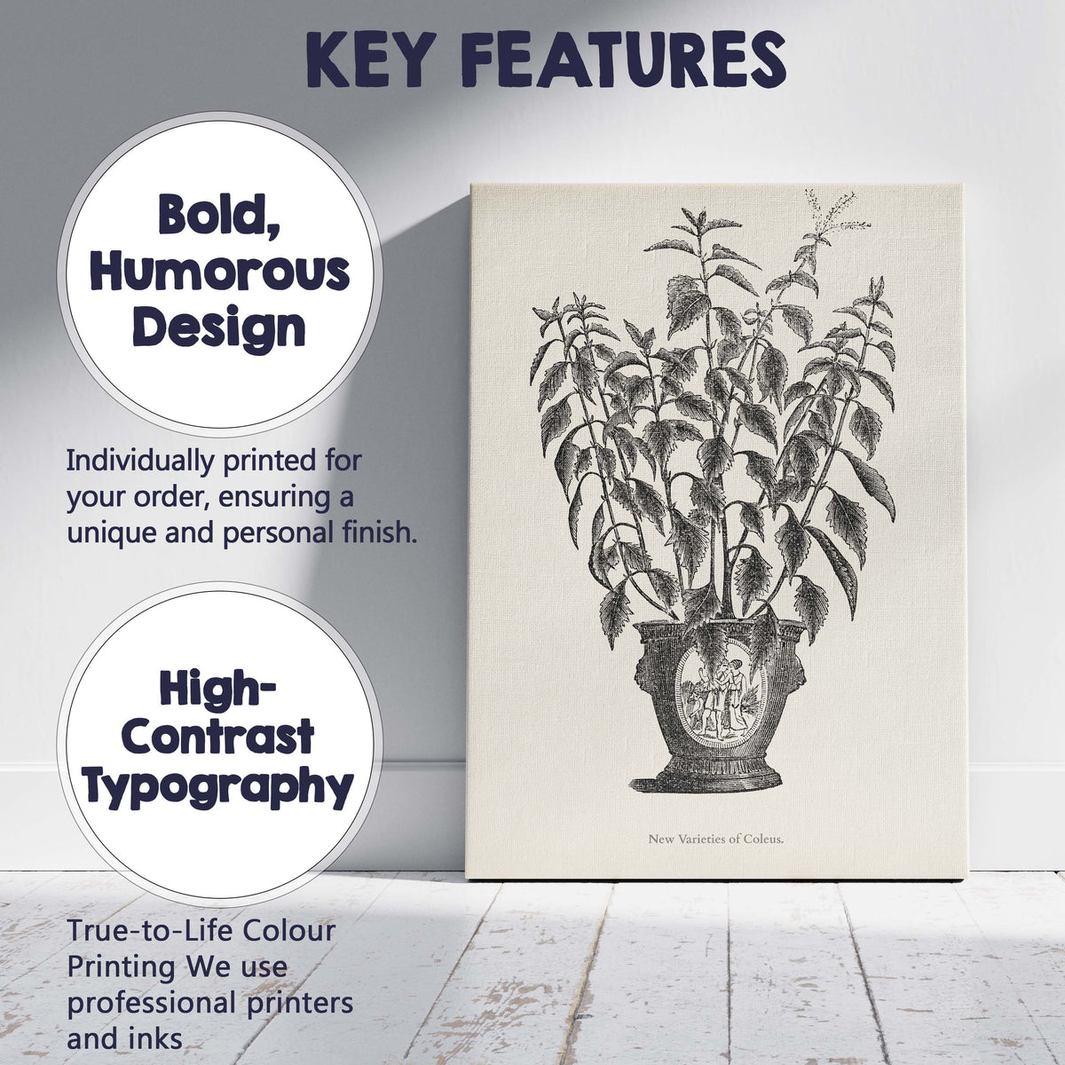 Antique Coleus Houseplant Botanical Engraving Pot Illustration Canvas Wall Art Print Decor Picture Ready to Hang