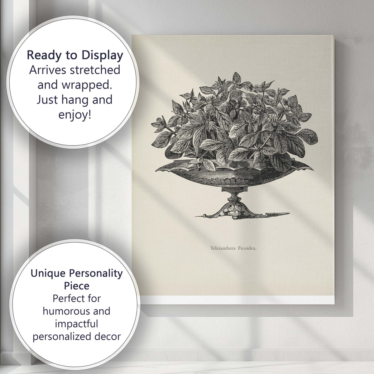 Antique Alternanthera Foliage Plant Botanical Engraving Canvas Wall Art Print Decor Picture Ready to Hang