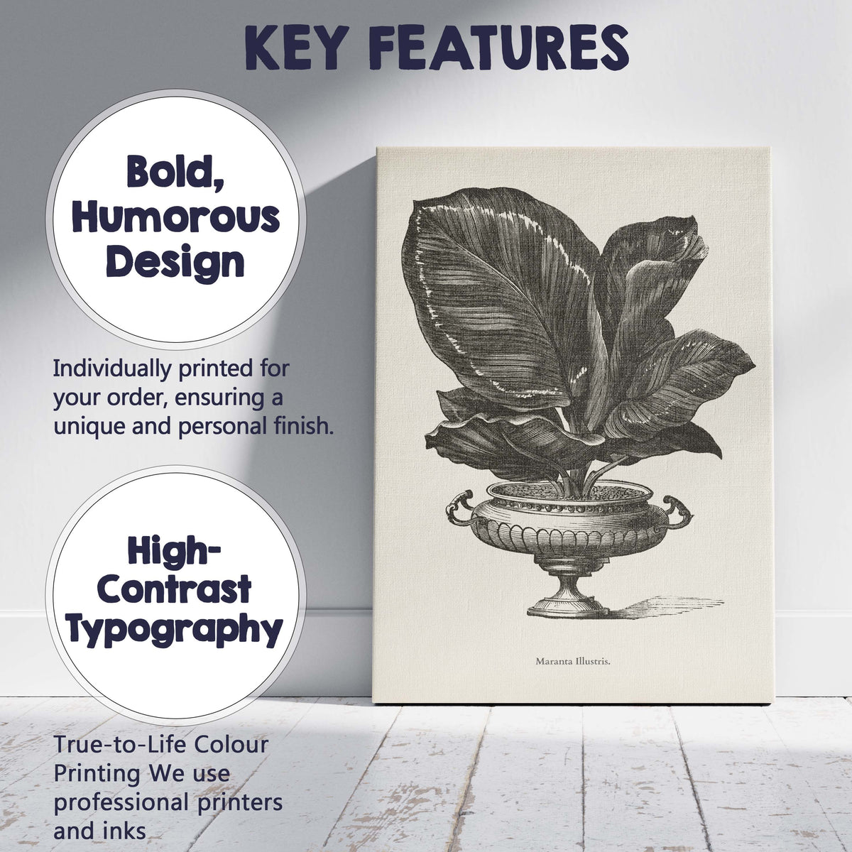Decorative Fittonia Leaf Houseplant Botanical Engraving Canvas Wall Art Print Decor Picture Ready to Hang