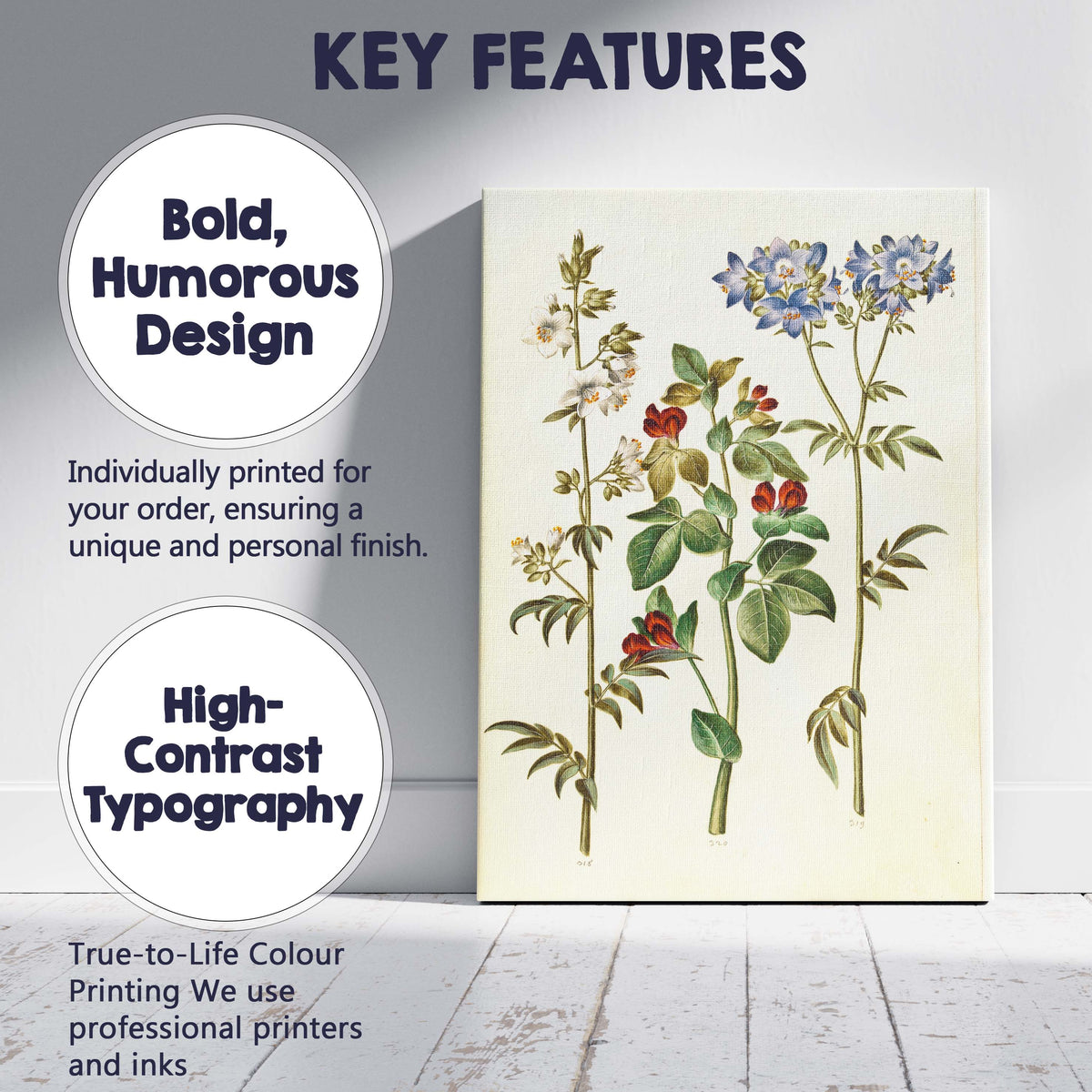 Antique Wildflower Botanical Illustration With Blue And Red Blooms Canvas Wall Art Print Decor Picture Ready to Hang