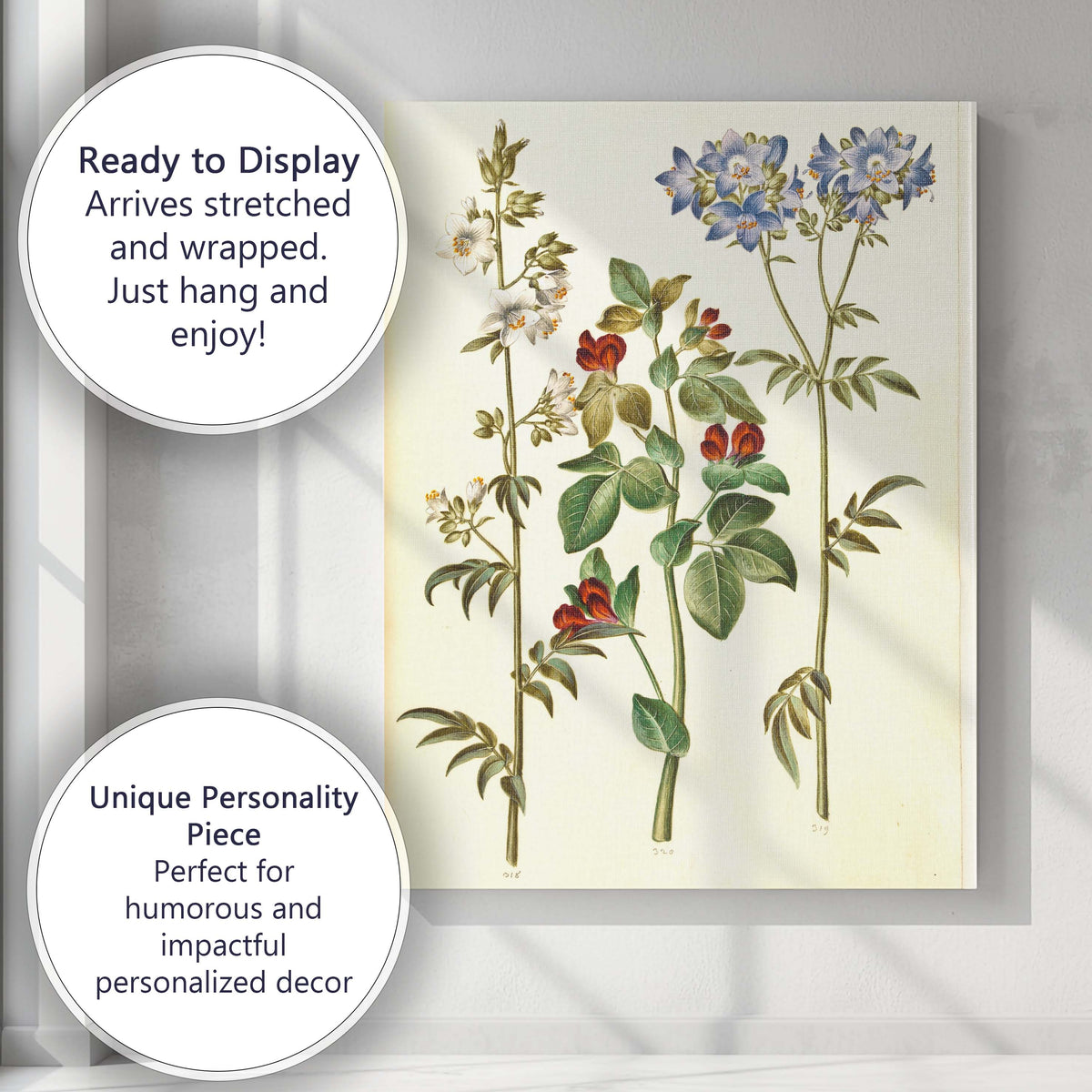 Antique Wildflower Botanical Illustration With Blue And Red Blooms Canvas Wall Art Print Decor Picture Ready to Hang