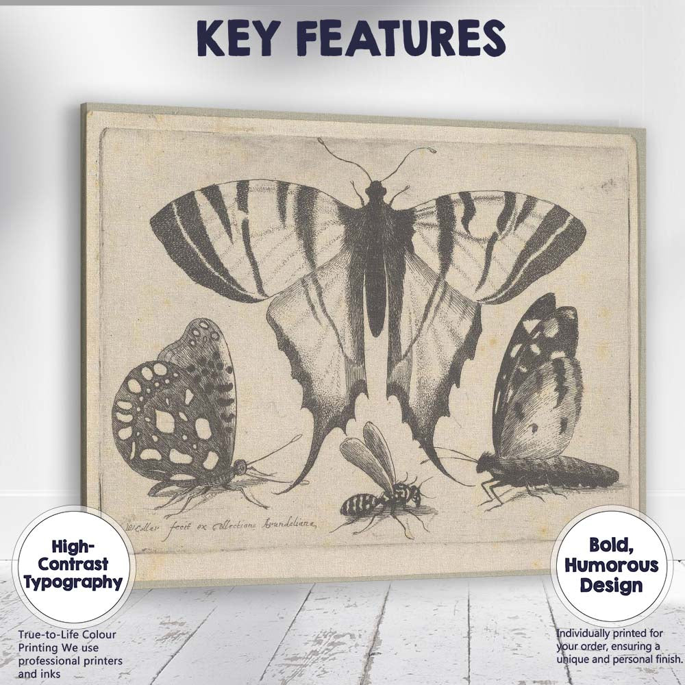 Antique Swallowtail Butterfly Engraving Insect Study Artwork Canvas Wall Art Print Decor Picture Ready to Hang