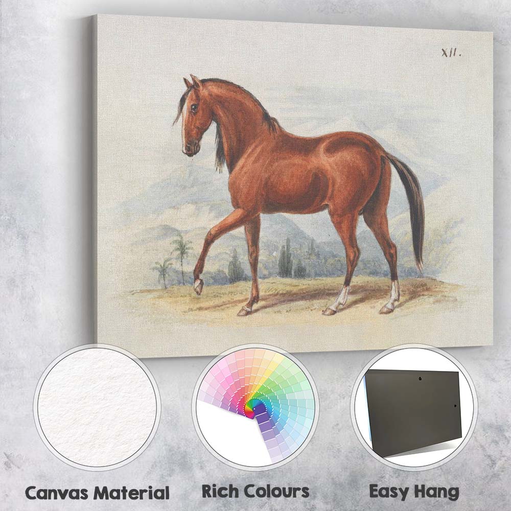 Chestnut Horse Antique Equestrian Watercolour Illustration Canvas Wall Art Print Decor Picture Ready to Hang