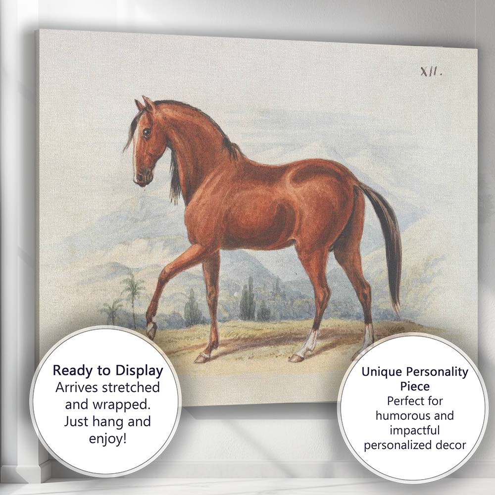 Chestnut Horse Antique Equestrian Watercolour Illustration Canvas Wall Art Print Decor Picture Ready to Hang