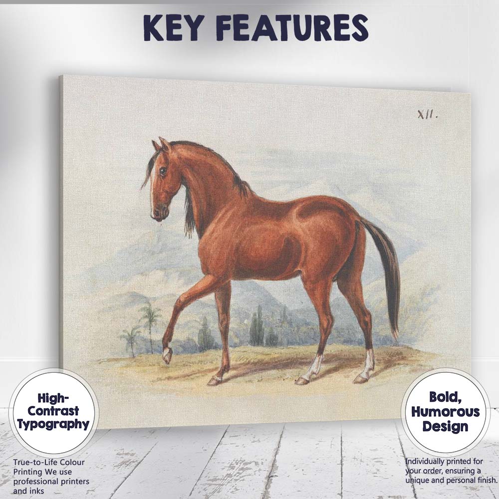 Chestnut Horse Antique Equestrian Watercolour Illustration Canvas Wall Art Print Decor Picture Ready to Hang