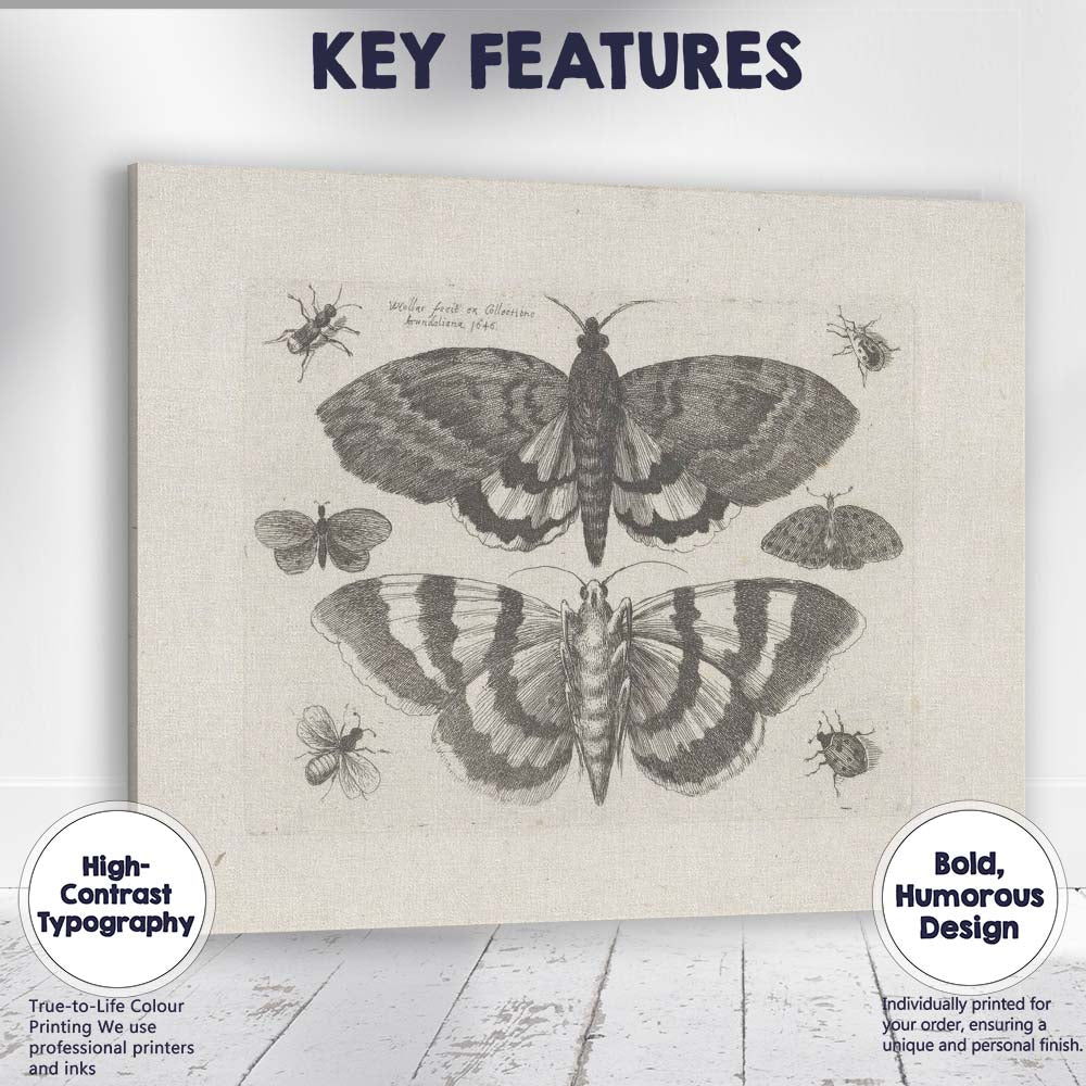 Antique Moth and Butterfly Collection Scientific Entomology Engraving Canvas Wall Art Print Decor Picture Ready to Hang