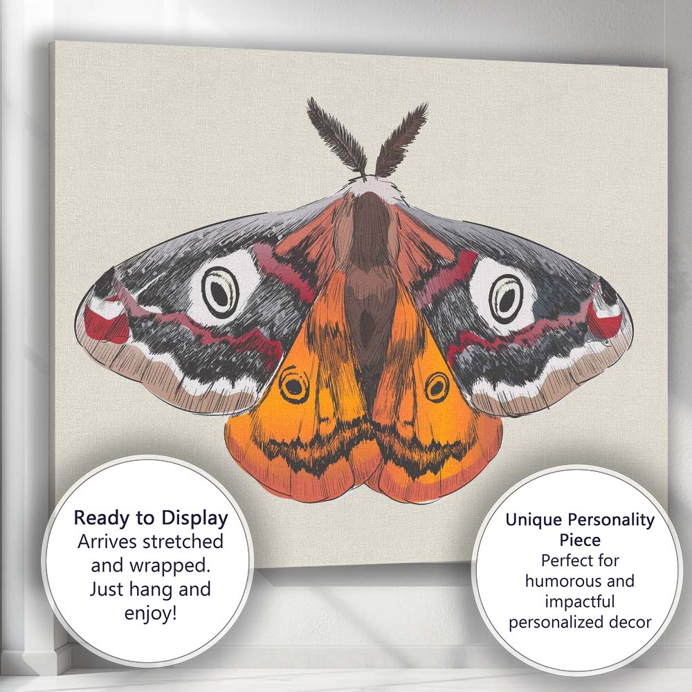 Colourful Peacock Moth Entomology Illustration Wildlife Nature Artwork Canvas Wall Art Print Decor Picture Ready to Hang