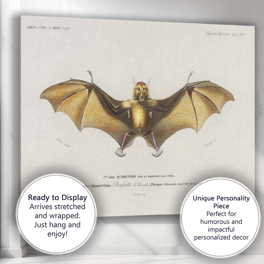 Antique Flying Fox Bat Scientific Illustration Victorian Zoology Artwork Canvas Wall Art Print Decor Picture Ready to Hang