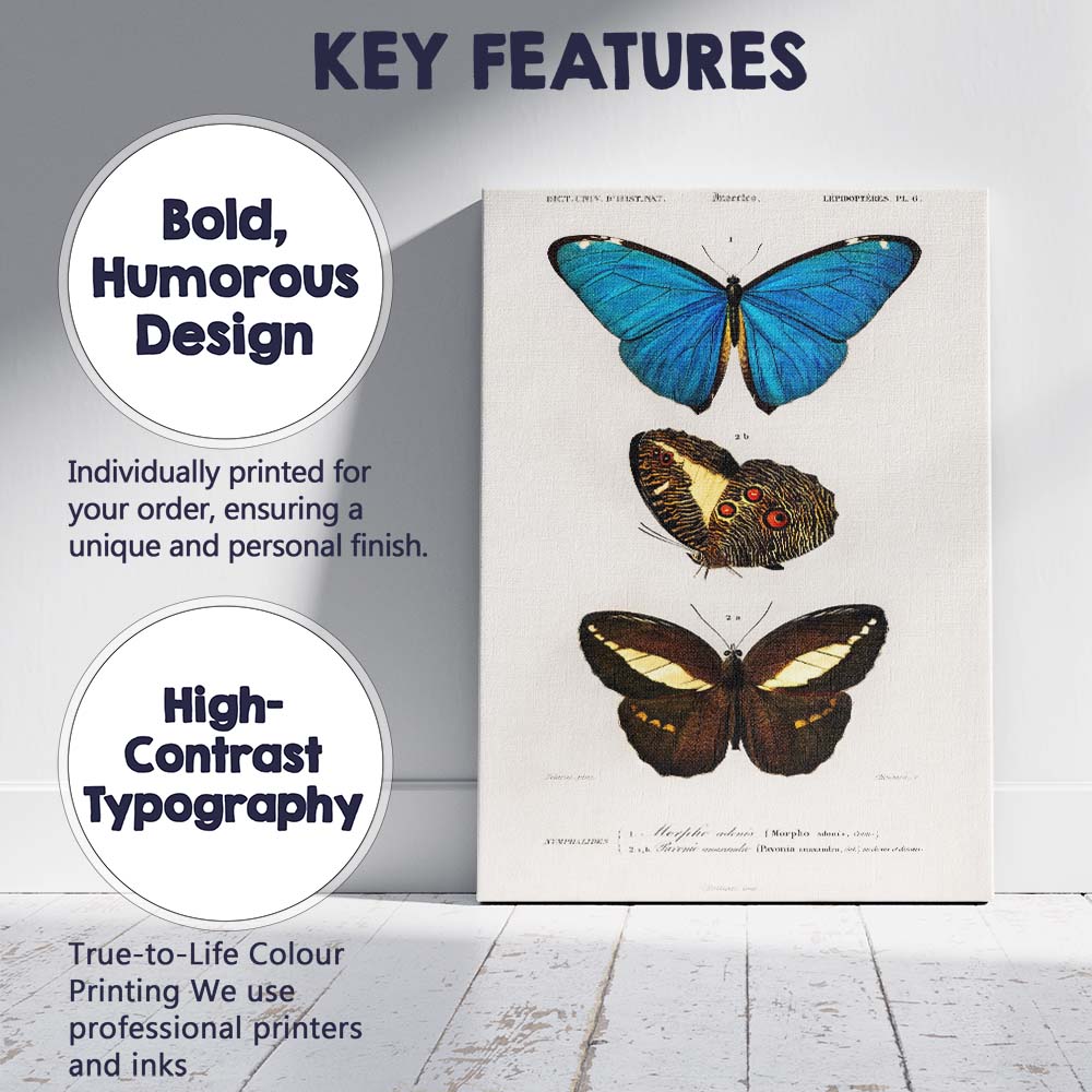 Antique Tropical Butterfly Study Blue Morpho and Dark Wing Species Canvas Wall Art Print Decor Picture Ready to Hang