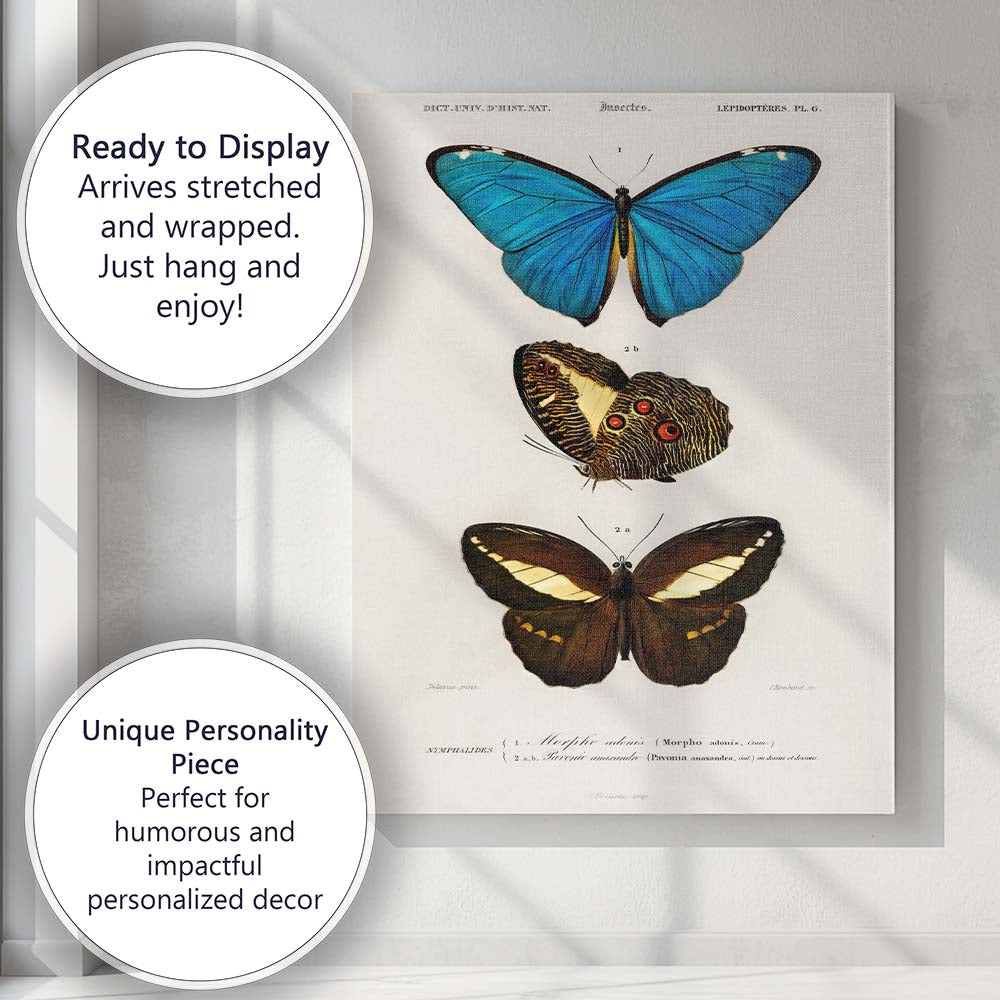 Antique Tropical Butterfly Study Blue Morpho and Dark Wing Species Canvas Wall Art Print Decor Picture Ready to Hang