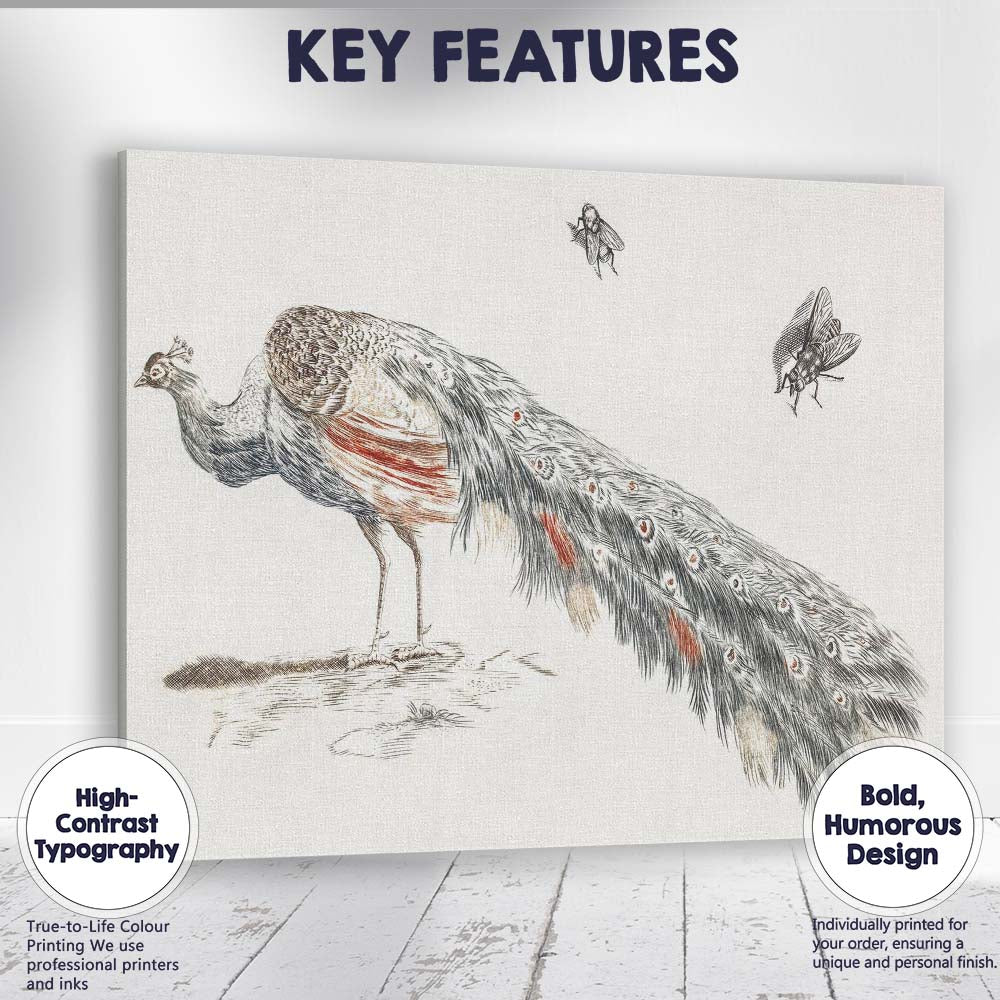 Antique Peacock Bird Illustration Elegant Feathered Wildlife Canvas Wall Art Print Decor Picture Ready to Hang