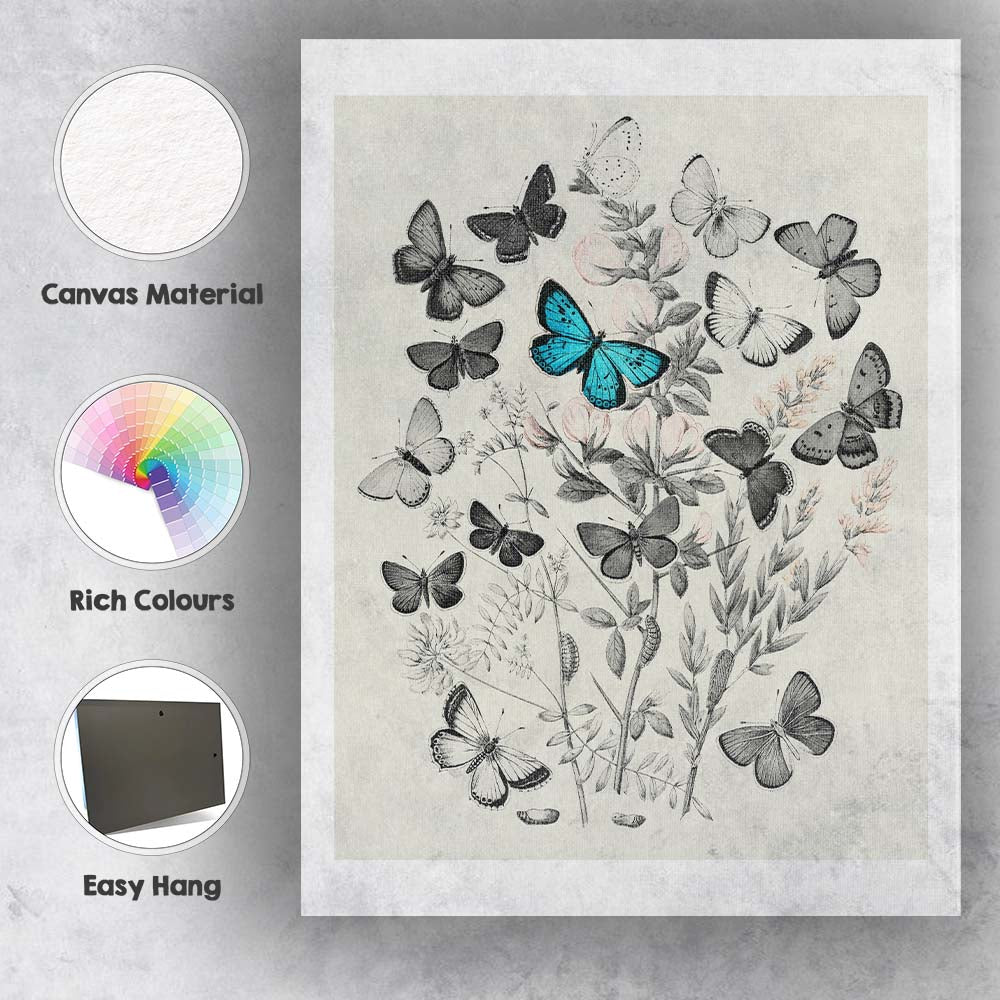 Monochrome Butterfly and Wildflower Botanical Collage with Blue Accent Canvas Wall Art Print Decor Picture Ready to Hang