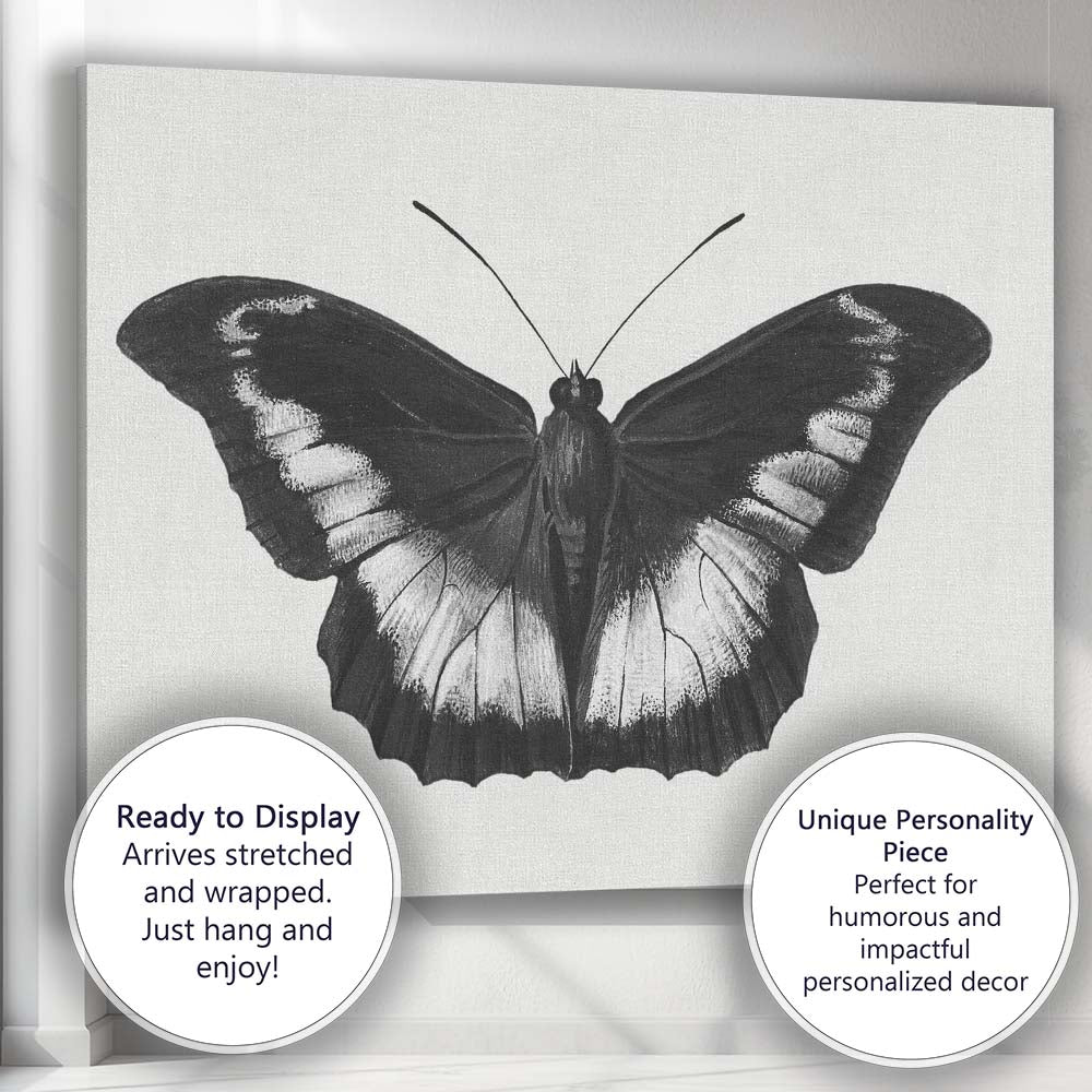 Black and White Tropical Butterfly Natural History Drawing Canvas Wall Art Print Decor Picture Ready to Hang
