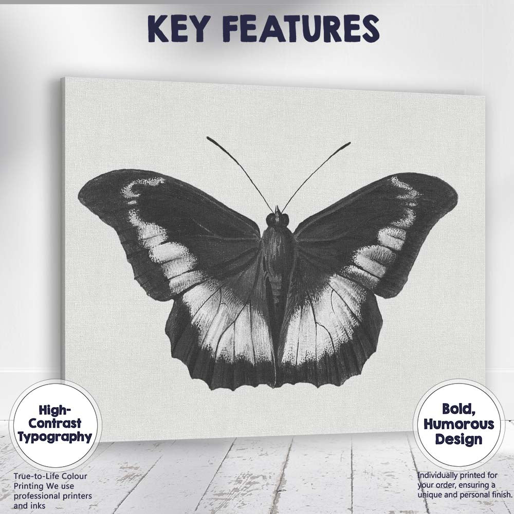 Black and White Tropical Butterfly Natural History Drawing Canvas Wall Art Print Decor Picture Ready to Hang