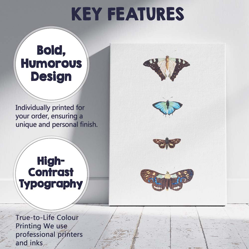 Colourful Butterfly Collection Minimal Vertical Specimen Display Canvas Wall Art Print Decor Picture Ready to Hang