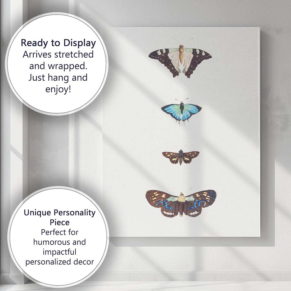 Colourful Butterfly Collection Minimal Vertical Specimen Display Canvas Wall Art Print Decor Picture Ready to Hang