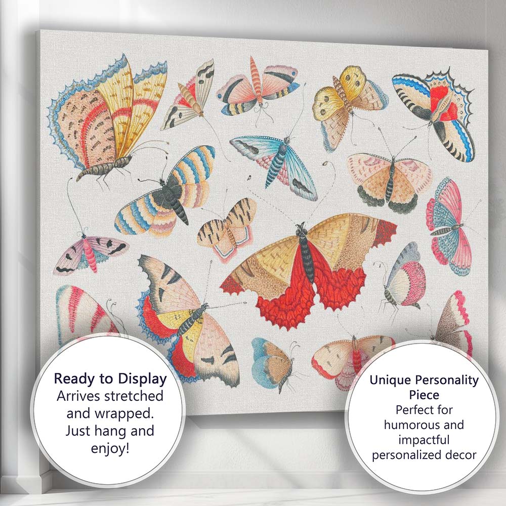 Decorative Colourful Butterfly and Moth Collection Illustration Canvas Wall Art Print Decor Picture Ready to Hang