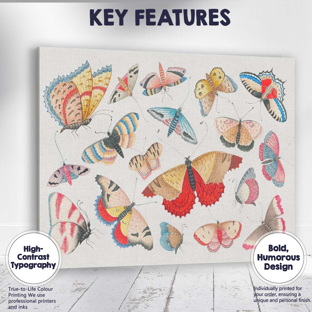 Decorative Colourful Butterfly and Moth Collection Illustration Canvas Wall Art Print Decor Picture Ready to Hang