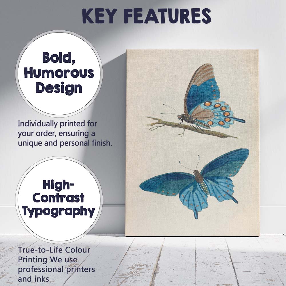 Blue Morpho Butterfly Antique Entomology Illustration Canvas Wall Art Print Decor Picture Ready to Hang