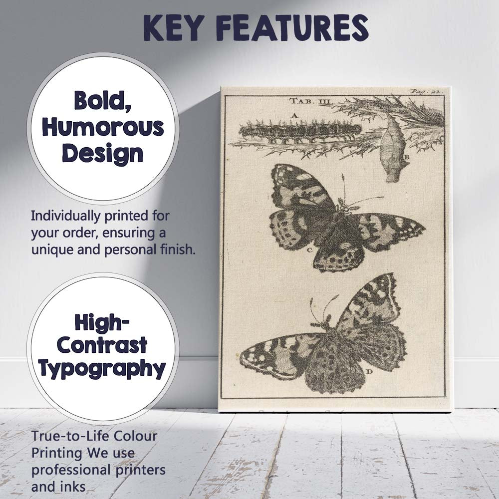 Antique Butterfly Life Cycle Entomology Engraving Artwork Canvas Wall Art Print Decor Picture Ready to Hang