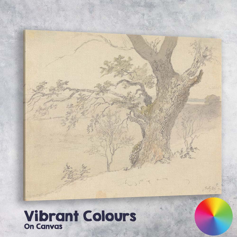 Ancient Oak Tree Landscape Pencil Sketch Rustic Countryside Nature Canvas Wall Art Print Decor Picture Ready to Hang