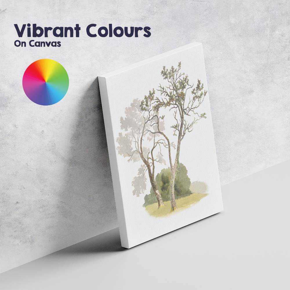 Delicate Woodland Trees Botanical Watercolour Illustration Canvas Wall Art Print Decor Picture Ready to Hang