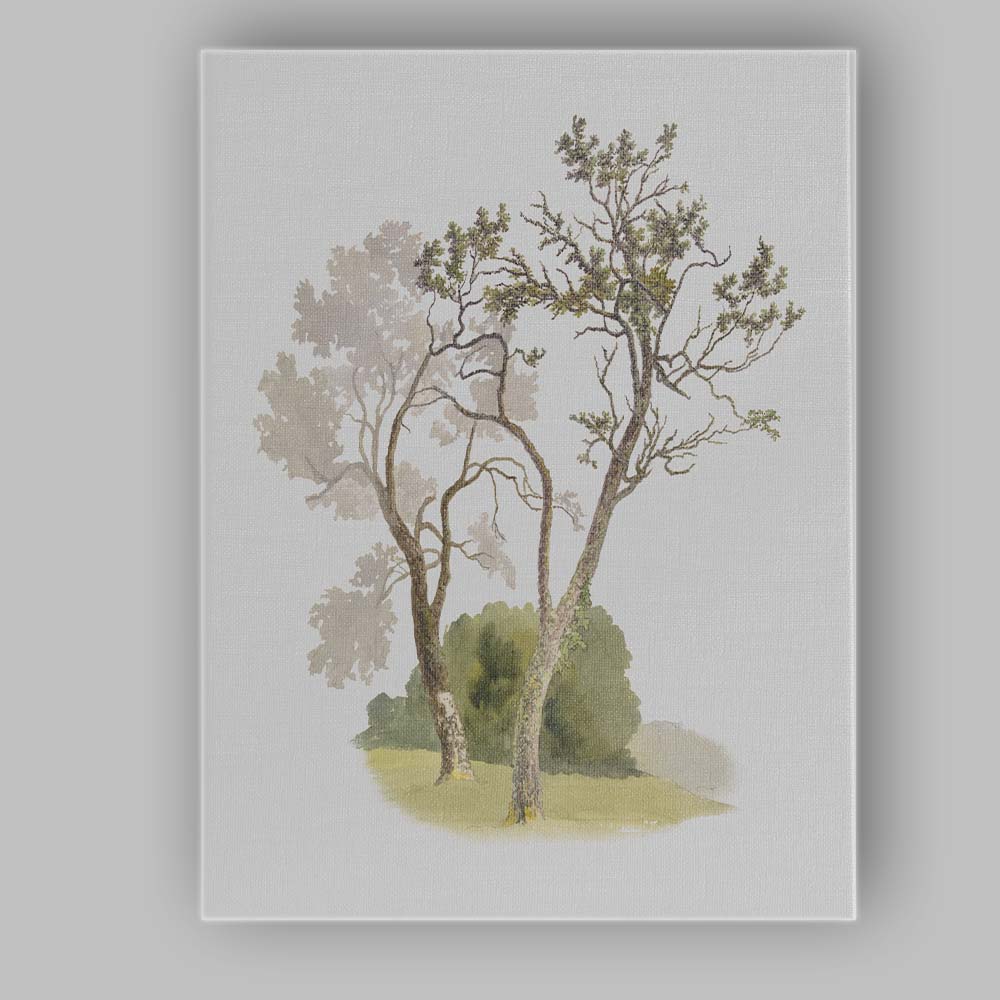 Delicate Woodland Trees Botanical Watercolour Illustration Canvas Wall Art Print Decor Picture Ready to Hang