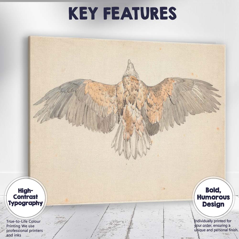 Spread Wing Eagle Natural History Watercolour Study Canvas Wall Art Print Decor Picture Ready to Hang