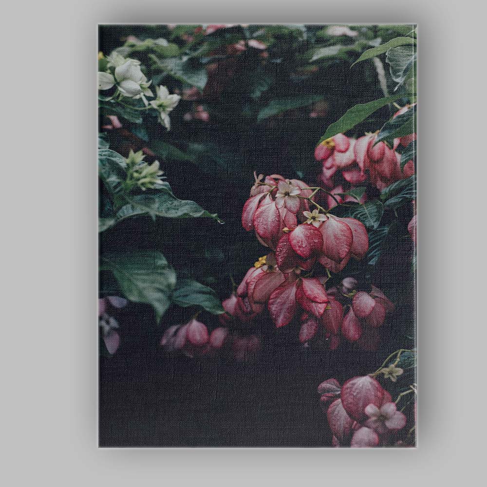 Moody Pink Bleeding Heart Flowers Botanical Garden Photography Canvas Wall Art Print Decor Picture Ready to Hang