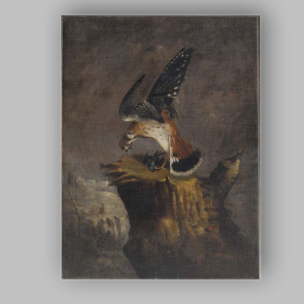 Bird of Prey Kestrel on Rocky Cliff Wildlife Oil Painting Canvas Wall Art Print Decor Picture Ready to Hang