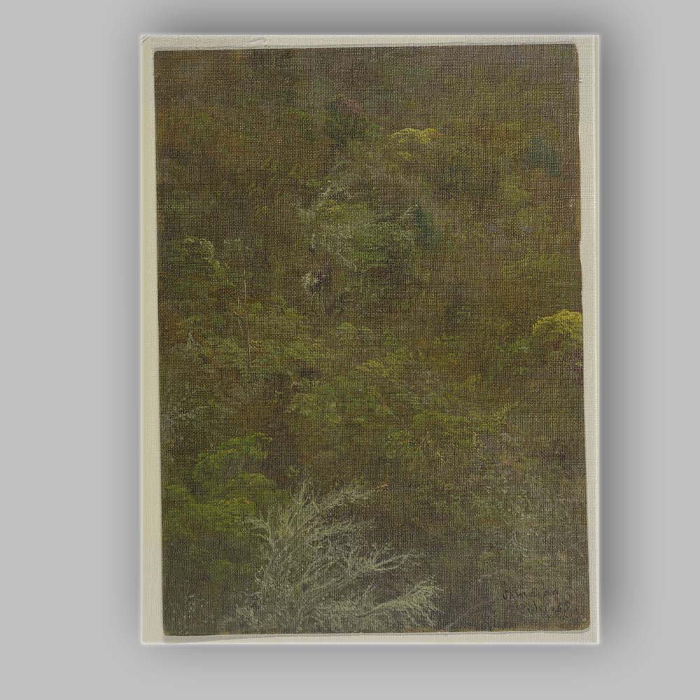 Tropical Jamaican Rainforest Dense Botanical Landscape Canvas Wall Art Print Decor Picture Ready to Hang