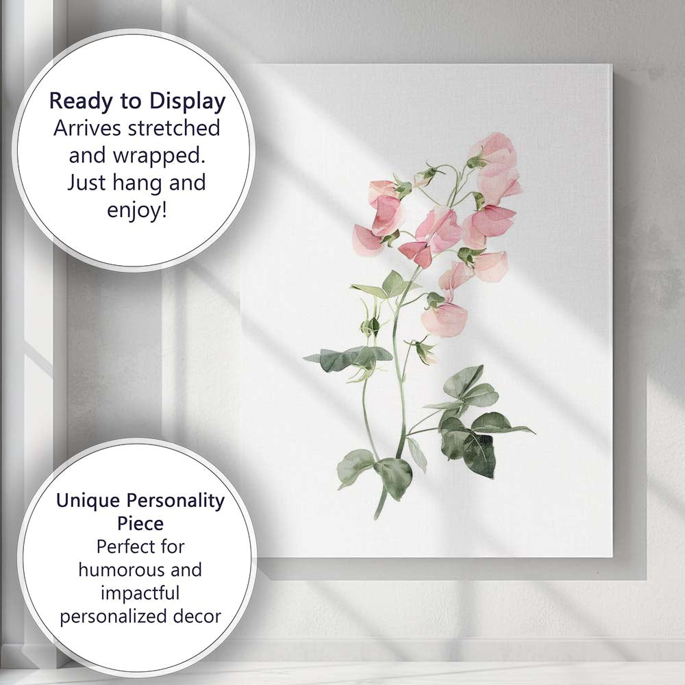 Pastel Pink Sweet Pea Botanical Watercolour Canvas Wall Art Print Decor Picture Ready to Hang